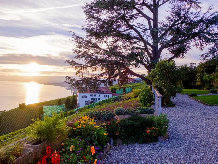 From Geneva: Swiss Riviera Private Tour - Montreux Free Time: Glamour With Lake Geneva at Its Center