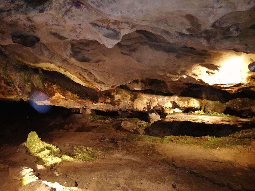 From Interlaken: Beatus Caves, Blue Lake and Lake Thun Tour - Blausee Nature Park: clear water, marked paths, and glass-bottom fun