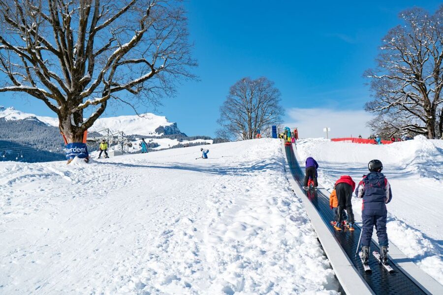 From Interlaken: Grindelwald Beginners Snowboarding Lesson - Price and value: what $256 includes, and what costs extra