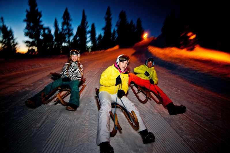 From Interlaken: Night Sledding with Cheese Fondue Dinner - The Gondola Ride and Group Setup: What You Start With