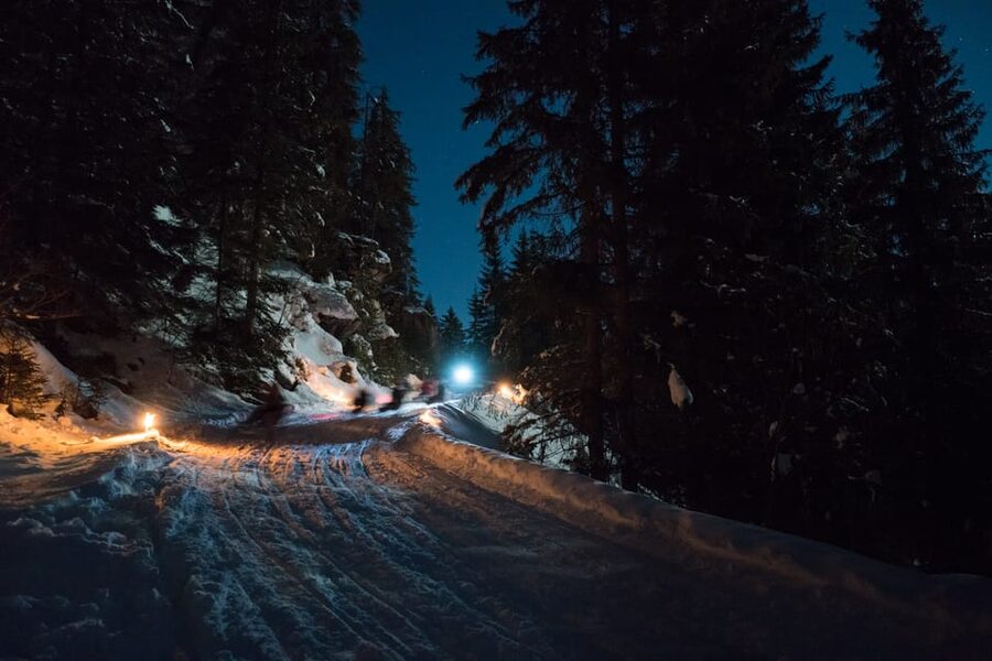 From Interlaken: Night Sledding with Cheese Fondue Dinner - Who Should Book, and Who Should Skip (Age, Weight, and Health)