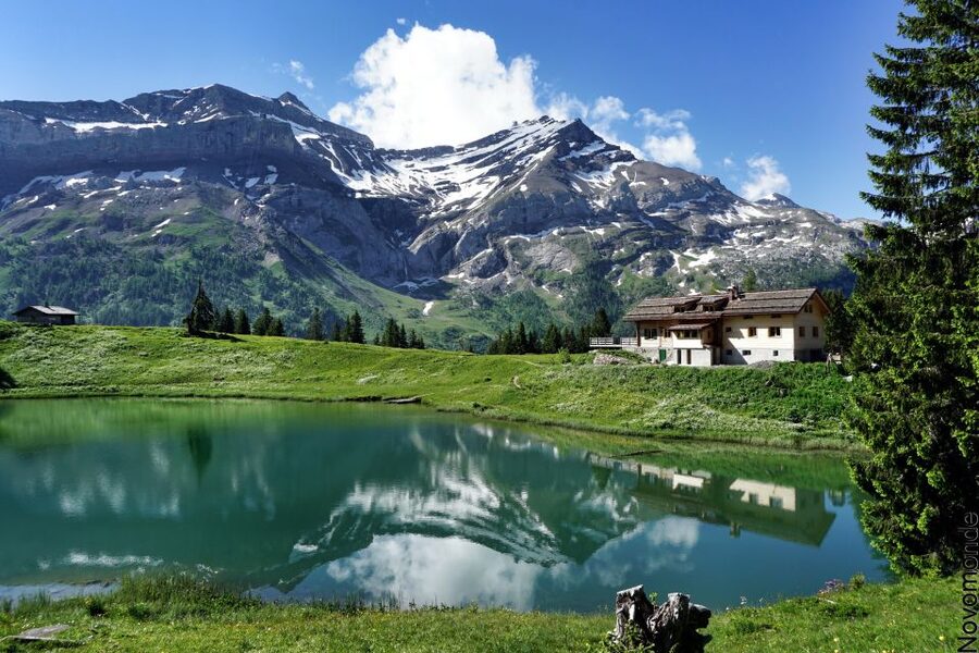 From Lausanne: Glacier 3000 experience and Montreux - Who should book this Glacier 3000 and Montreux tour