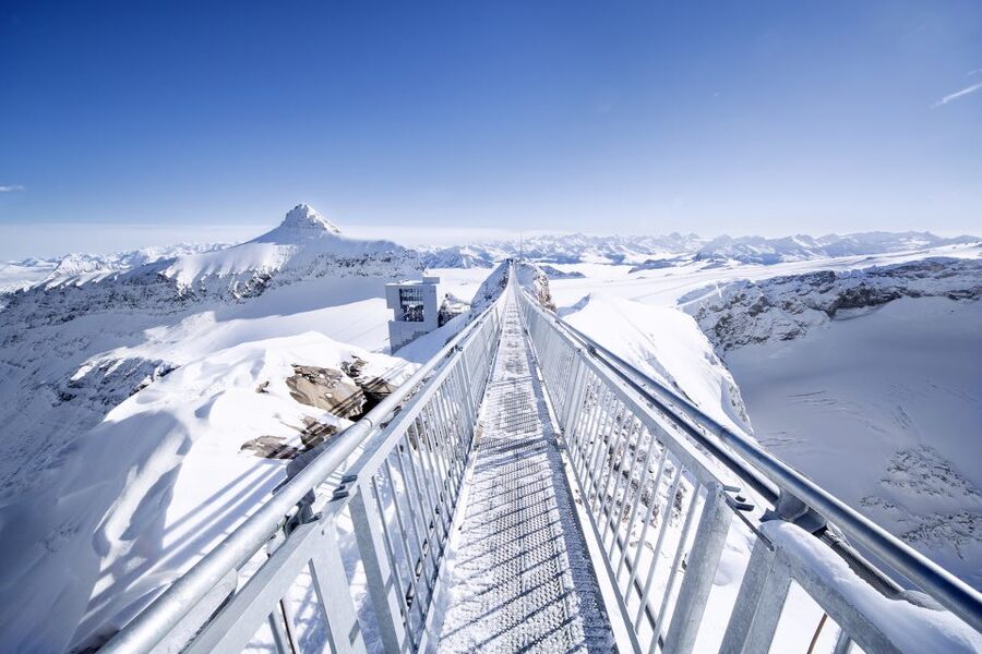From Lausanne: Glacier 3000 Experience Tour - Key highlights you should care about