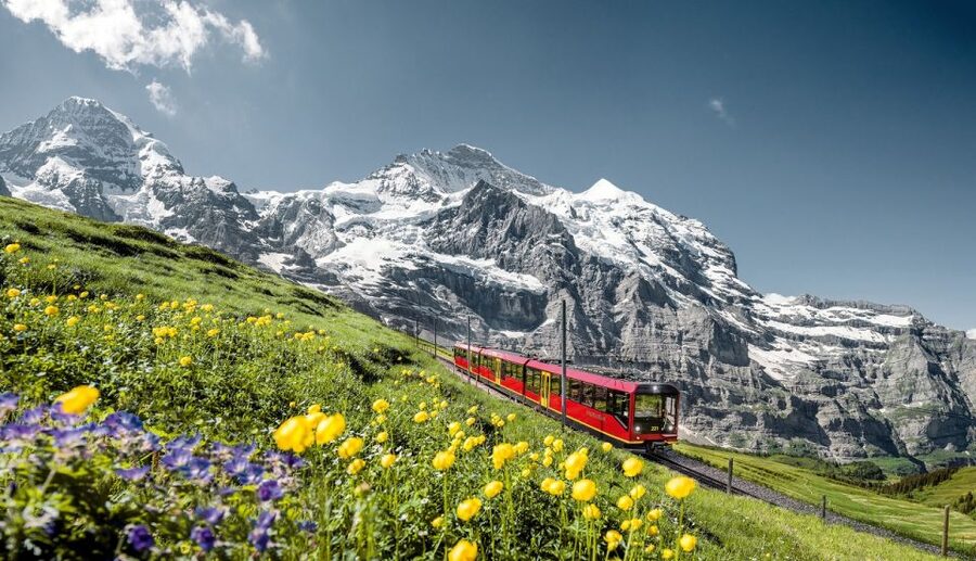 From Lucerne: Day Trip to Jungfraujoch – Top of Europe - Price and value: what $354 buys you on this day