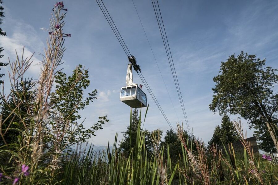 From Lucerne: Mount Rigi Day Trip with Cruise and Cable Car - Cogwheel Railway to Rigi Kulm, the Ride You Actually Remember