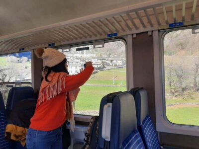 Scenic Alps Day Trip with Bernina Train Ride