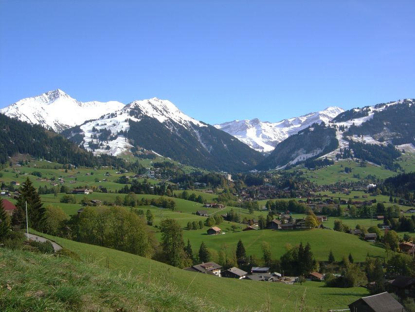 From Montreux: Glacier 3000 Day Trip - Glacier 3000: year-round snow with serious viewpoints