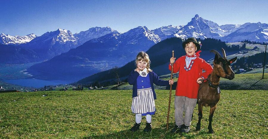 From Zurich: Bus Day Trip to Heidiland and Liechtenstein - Key Things You Should Know Before You Go