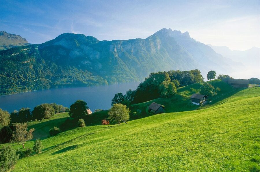 From Zurich: Bus Day Trip to Heidiland and Liechtenstein - Why This Zurich Day Trip Feels Like Two Countries in One
