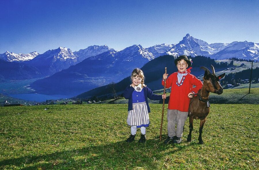 From Zurich: Bus Day Trip to Heidiland and Liechtenstein - Rapperswil Old Town and Its Medieval Castle Walk