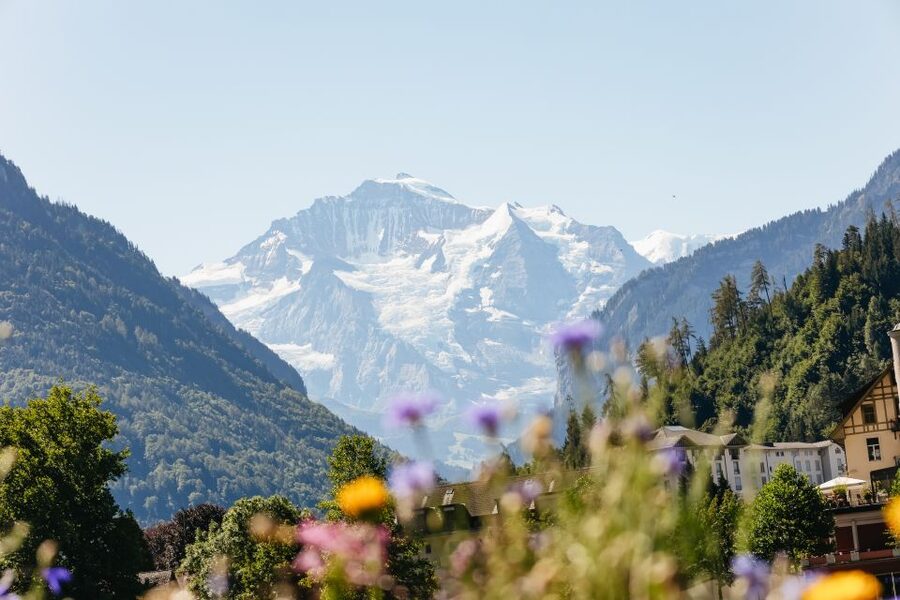 From Zurich: Day Trip to Jungfraujoch - Top of Europe - Descending via Wengen and Lauterbrunnen: the smart way down