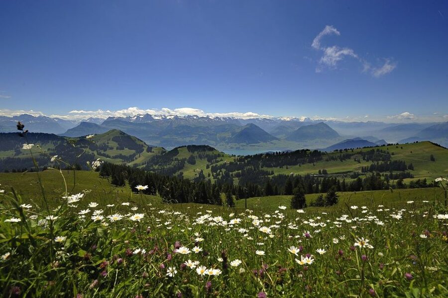 From Zurich: Day Trip to Rigi and Lake Lucerne - Lake Lucerne boat cruise to Lucerne: switching from mountain mode to city mode