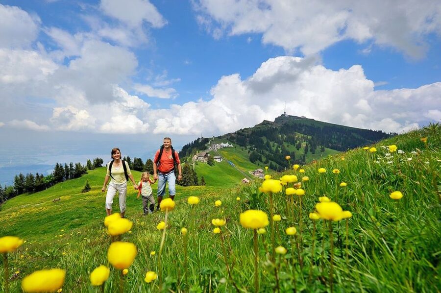 From Zurich: Day Trip to Rigi and Lake Lucerne - Who this day trip fits best (and who should skip it)