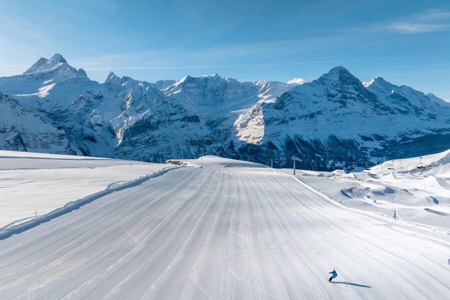 From Zurich: Grindelwald First Cable Car & Interlaken - Village Time in Grindelwald, Chalets, Cafés, and Easy Walking