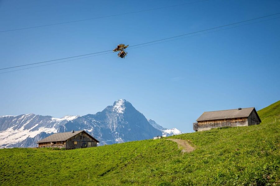 From Zurich: Grindelwald First Cable Car & Interlaken - Price and Value: What You Get for $238