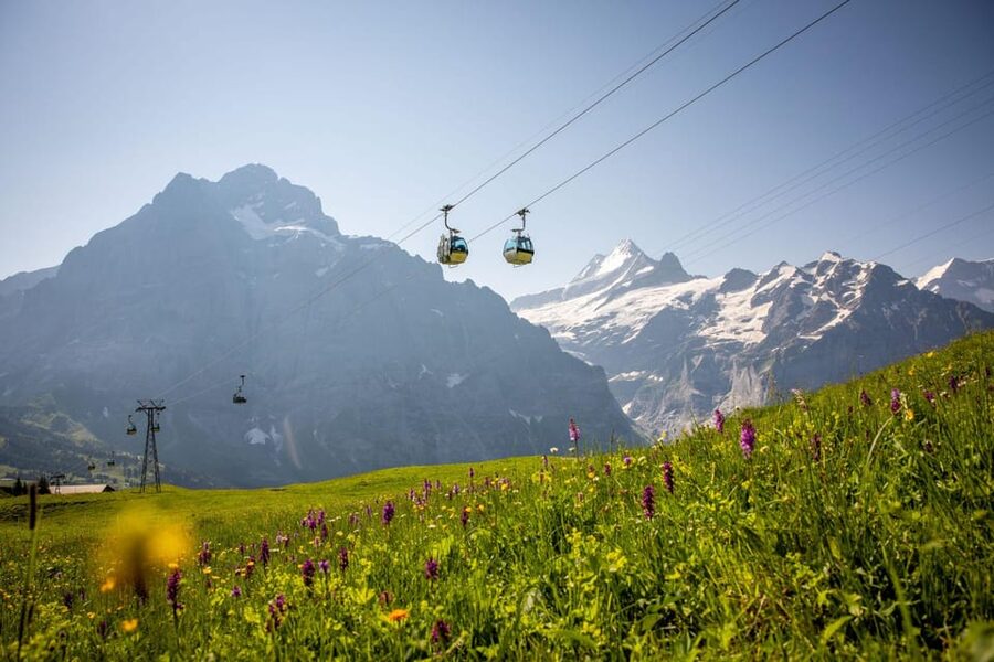 From Zurich: Grindelwald First Cable Car & Interlaken - What to Bring, When to Go, and Who Should Skip This