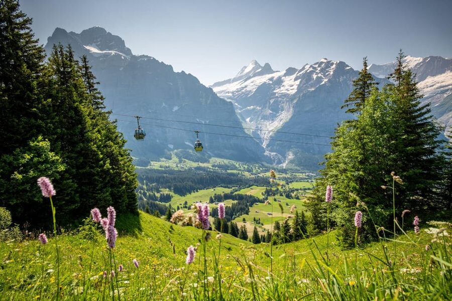 From Zurich: Grindelwald First Cable Car & Interlaken - Should You Book This Day Trip from Zurich?