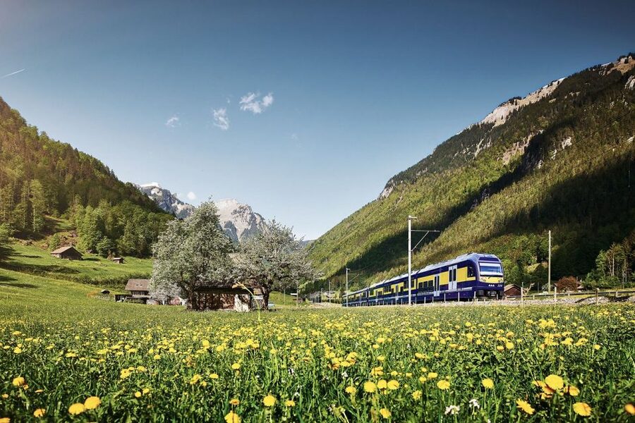 From Zurich: Grindelwald First Mountain Adventure Day Trip - Why This Zurich to Grindelwald Day Trip Works