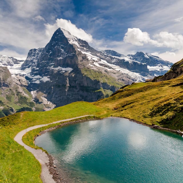 From Zurich: Interlaken and Grindelwald Private Day Tour - Who this tour suits best, and who should think twice
