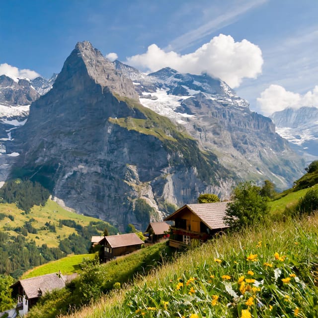 From Zurich: Interlaken and Grindelwald Private Day Tour - Should you book? My practical take