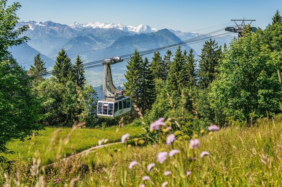 From Zurich: Mount Rigi and Lucerne Small-Group Day Trip - Key things to know before you go