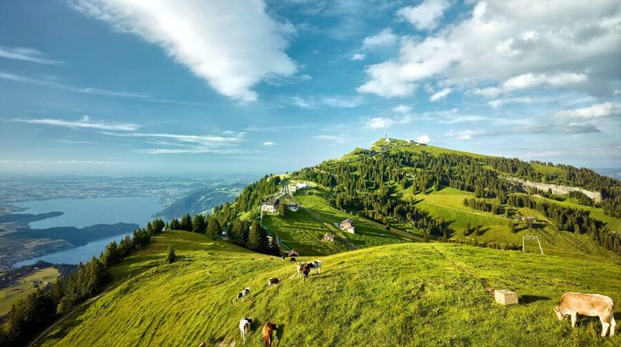 From Zurich: Mount Rigi and Lucerne Small-Group Day Trip - Tips to Make the Most of Rigi and Lucerne Without Stress