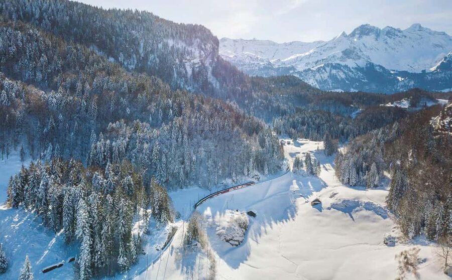 From Zurich: Premium Panoramic Train, Lucerne & Interlaken - Who This Tour Fits Best (and Who Should Skip It)