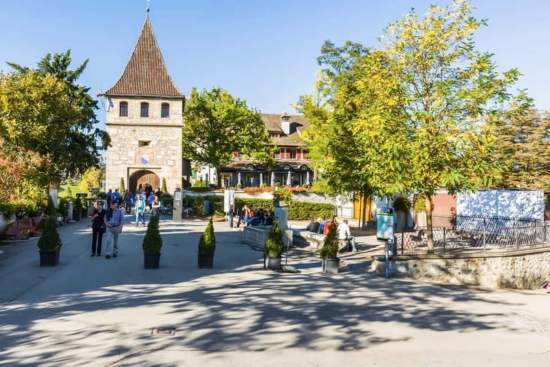 From Zurich: Rhine Falls Coach Tour with Entry Tickets - A Return Trip That Briefly Includes Southern Germany
