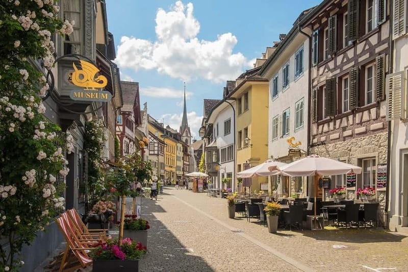 From Zurich: Stein am Rhein and Rhine Falls - Why this 5-hour Rhine Falls and Stein am Rhein day trip from Zurich works