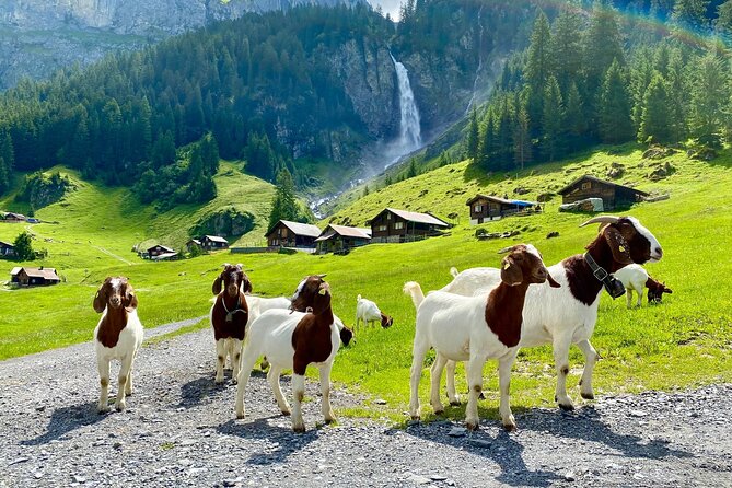 From Zurich: The most beautiful insider spots in Switzerland (private 1-day tour) - Zurich pickup, welcome, and getting oriented fast