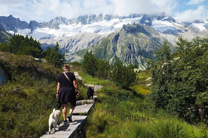 Full-Day Hiking Swiss Alps and Lake swim with Pick-up - The hike rhythm: pacing, safety, and small coaching moments