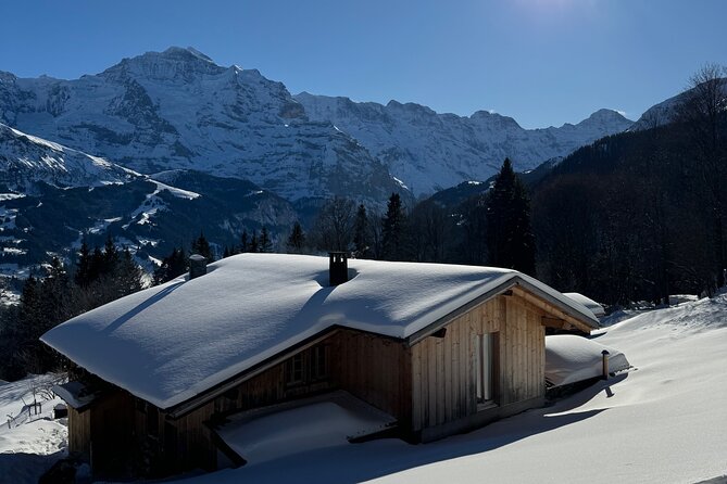 Full Day Luxury Private Tour in Swiss ALPS - Key highlights you will feel the whole day