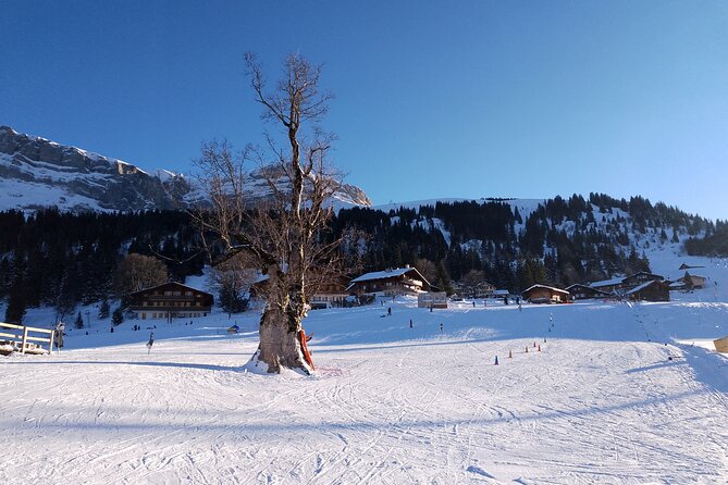 Fully organized Ski Experience for Private Groups - Who this fits best, and who should choose a different setup