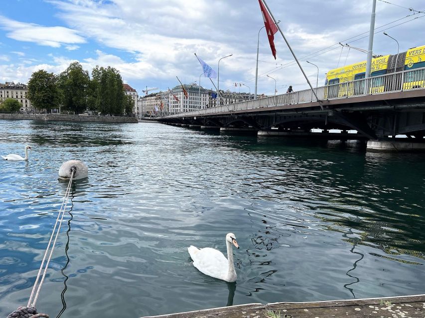 Geneva: Complete Tour, UN area & Old City (Hotel PICK-UP) - Why This Geneva Tour Works So Well in Just 4 Hours