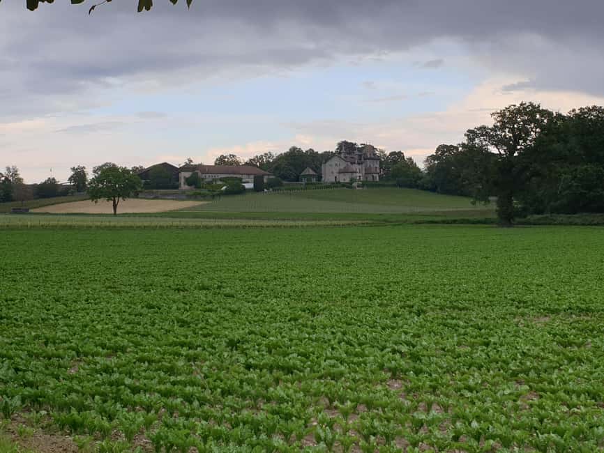 Geneva Countryside And Art Museum At A Castle Wine By E-Bike - Optional Art Museum Time, When 45 Minutes Is Enough