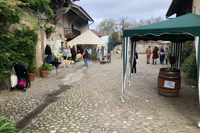 Geneva Countryside By E-Bike With Wine Tasting - Les Charmilles, a skateboard stop, and the Bois des Freres woods