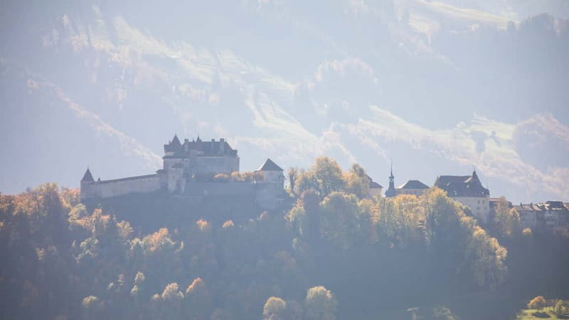 Geneva: Gruyères Tour with Chocolate, Cheese & Golden Train - Who This Tour Fits Best (And Who Might Want Something Different)