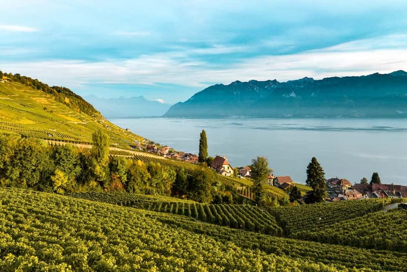 Geneva: Montreux, Chaplin’s World, Chillon Castle & Apéritif - The Role of the Guide: Why Names Keep Coming Up
