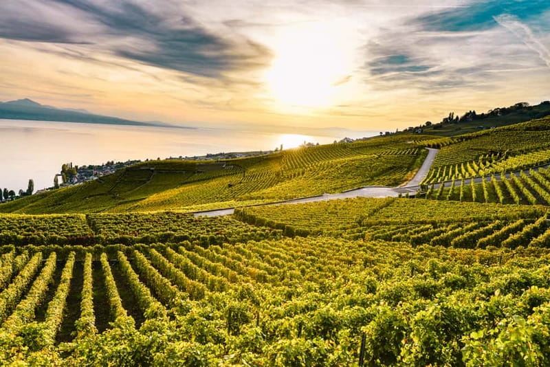 Geneva: Montreux, Chaplin’s World, Chillon Castle & Apéritif - Lavaux Vineyards, Apéritif Break, and the Wine Road Reality