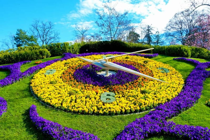 Geneva: Open-Top Sightseeing Bus Tour - Audio Guide and Open-Top Comfort: When It Runs Smooth, It Feels Great