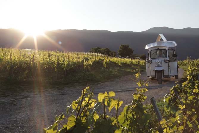 Geneva Panoramic & Tasting Vineyards Tour in an Tuk Tuk - Key things I’d watch for on this eTukTuk wine tour