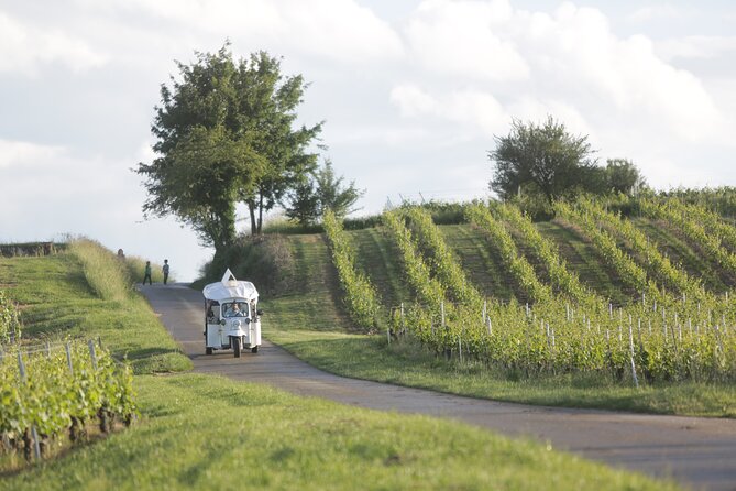Geneva Panoramic & Tasting Vineyards Tour in an Tuk Tuk - The winery tasting stop: complimentary wine, nibbles, and the real expectations check