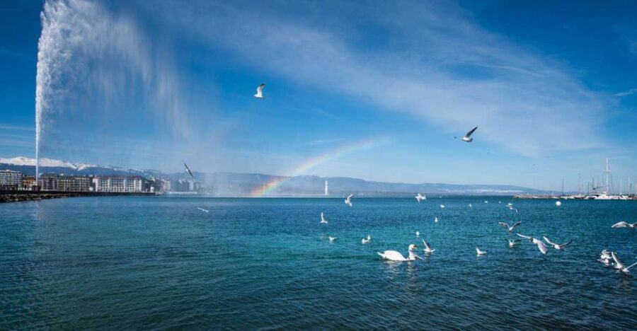Geneva: Scenic Lake Cruise with Snacks and Wine - A one-hour Lake Geneva reset with wine and Alpine views