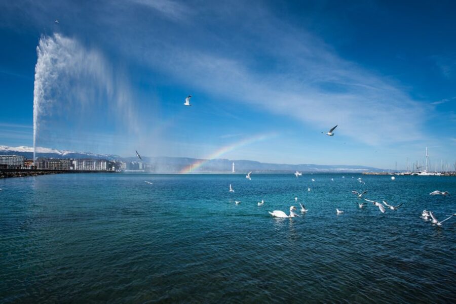 Geneva: Scenic Lake Cruise with Snacks and Wine - Who should book, and who might want to skip it