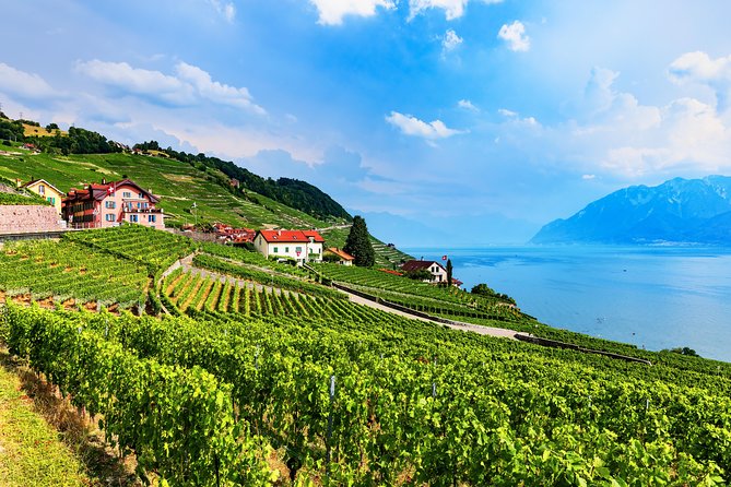Geneva to Gruyère Private Day Trip. Cheese & Chocolate Tour - Price and Value at $554.44: What You Pay For