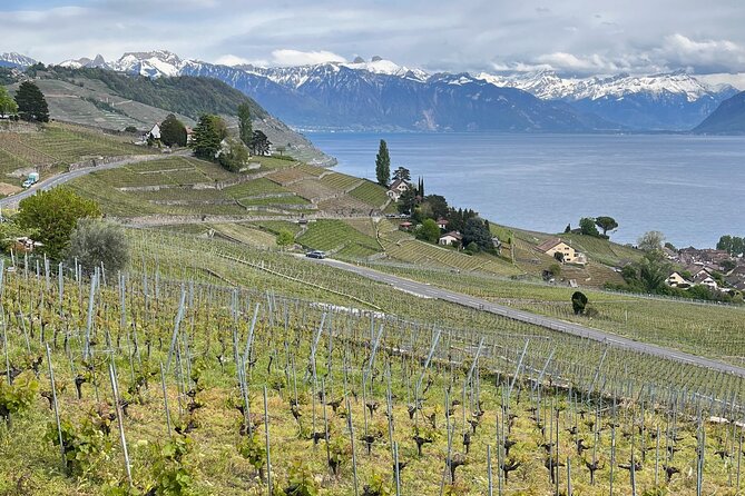 Gourmet Food and Wine Tasting Walk in Lavaux - Lutry’s 13th-century lanes and a unique wine tasting moment