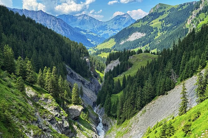 Griesalp UNESCO Alpine E-Bike Adventure from Interlaken - What You’re Really Doing on This Griesalp E-Bike Adventure