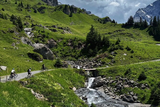 Griesalp UNESCO Alpine E-Bike Adventure from Interlaken - Key Highlights That Make This Tour Worth It