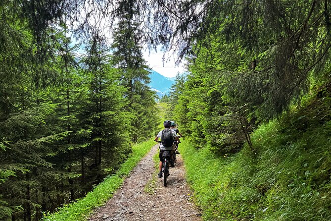 Griesalp UNESCO Alpine E-Bike Adventure from Interlaken - The Ride Through Kiental Valley: River Views and Waterfalls
