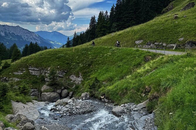Griesalp UNESCO Alpine E-Bike Adventure from Interlaken - How Hard Is It, Really? Skills, Terrain, and the E-Bike Reality
